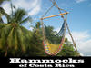 HammocksofCostaRica's Avatar