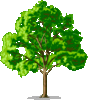 brokentree's Avatar