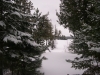 Looking To Sucker Lake by nfields260 in Group Campouts