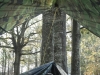 Camo Trek Light Hammock And Camo Tarp by nsdemon in Hammocks