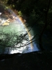 Rainbow Over Savage Gulf Falls