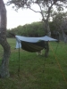 My 1st Hammock Rig by BOWDOCC in Hammocks