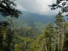 Mt Leconte & Green Briar 06 2011 Pt.1 by GregScuba in Group Campouts