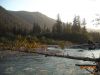 Hoh River Onp 2012 by Kerrkid in Group Campouts