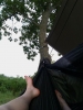 Loving Life With The Wbbb by dangerous in Hammocks