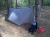 Francis Marion Nf-santee Coastal Reserve by MedicineMan in Hammock Landscapes