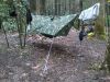 Mt Sterling (gsmnp) by HayJay in Hammocks