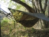 Claytor Jungle Hammock by Miguel in Hammock Landscapes