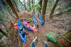 Ticket To The Moon Thailand Hammocks by Tony Moorhouse in Hammocks