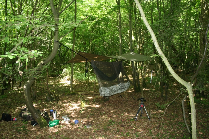 Dd Hammock