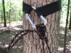 Speer webbing to buckle to biner to hugger by BillyBob58 in Tips  and Tricks