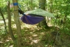 Greenbrier State Park In Md On July 4, 2010 by AndyB in Hammock Landscapes