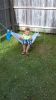 My Sons Little Hammock by daddylopez in Hammocks