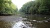 Mohican 3 - Clear Fork 2 by Trail Runner in Hammock Landscapes