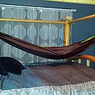 Hang'n in the House by FrayD in Hammocks