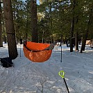 first Winter Hang 2-2020 by mcspin50 in Hammock Landscapes