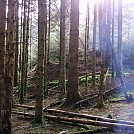 loch chon in the forest by Lewis S in Hammock Landscapes