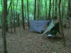 Panther Creek Trail 5/27/07 by FanaticFringer in Hammock Landscapes