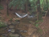 Creek hangin 7/3-7/4/07 by FanaticFringer in Hammock Landscapes