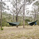 Main Range National Park  Queensland, Australia by peterhase in Hammock Landscapes