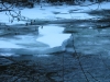 Winter Picnic 09 by mbiraman in Hammock Landscapes
