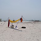 Hickory Island hang in Bonita Springs, FL by Hammockmadness in Hammock Landscapes