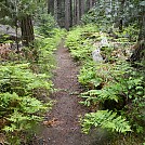 kings canyon by Cripplegimp in Group Campouts