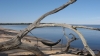 Hanging Along The Shore Of The Neuse River by gunner76 in Hammock Landscapes