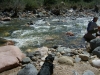 Sycamore Creek With Water