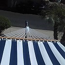 Blue n white Stripe hammock with Stand by Slackjacks in Hammocks