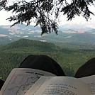 Tree top hang by Benson Burner in Hammock Landscapes