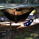 Search for headwaters by Benson Burner in Hammocks