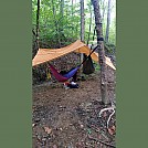 Clark State Forest, southern Indiana by pfeif in Hammocks