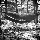 January hang by jcdflint in Hammock Landscapes