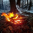 fire no tools 04 small by cmoulder in Hammock Landscapes