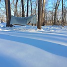 Snowhammock Harriman 2020 01 by cmoulder in Hammock Landscapes