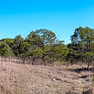 Glade at Hercules Glades by Ozarks Walkabout in Hammock Landscapes