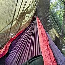 hammock fun , good times in the smokies by darrellslover in Hammocks