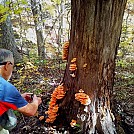 joe shooting mushrooms by twentybelow in Group Campouts